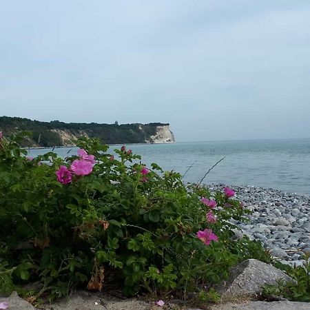 Hering Fewo I Apartment Terrace Wiek auf Rügen Екстериор снимка