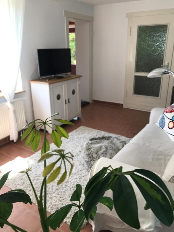 Hering Fewo I Apartment Terrace Wiek auf Rügen Екстериор снимка