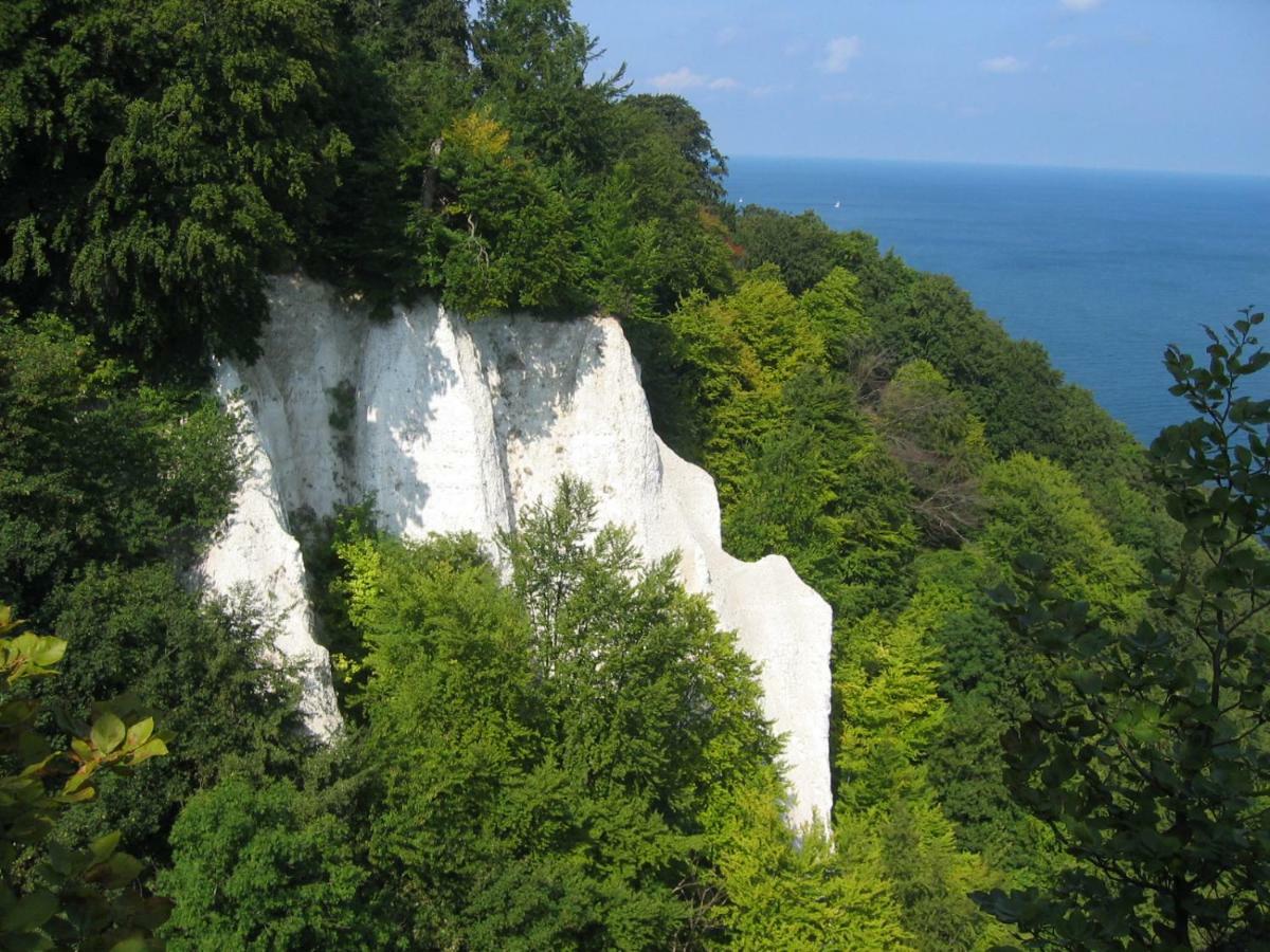 Hering Fewo I Apartment Terrace Wiek auf Rügen Екстериор снимка