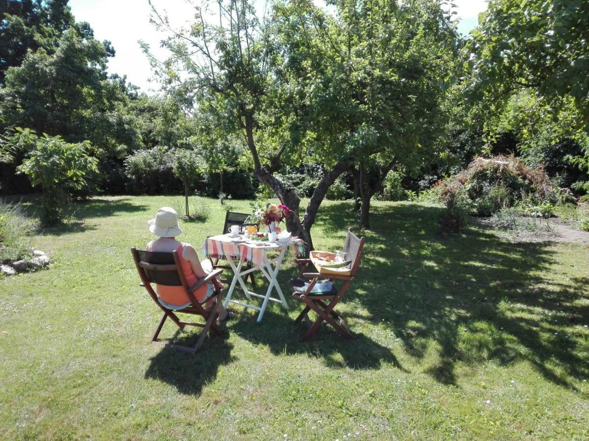 Hering Fewo I Apartment Terrace Wiek auf Rügen Екстериор снимка