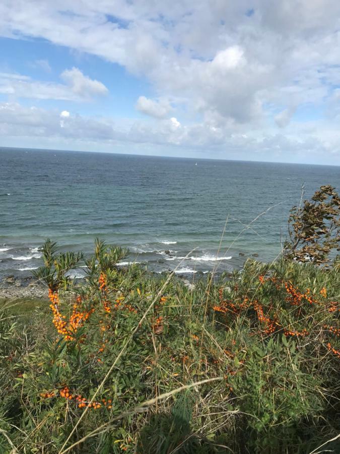 Hering Fewo I Apartment Terrace Wiek auf Rügen Екстериор снимка